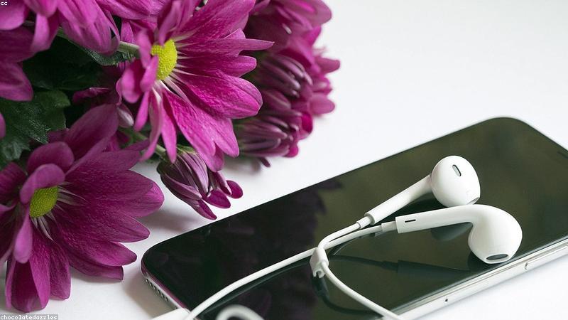 Website Maintenance Cost in India: What to Expect